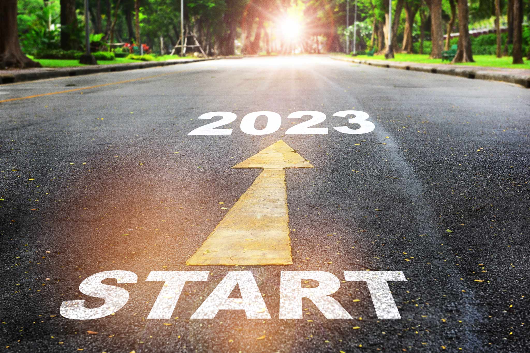 Start to 2023 written on the road with an arrow pointing from Start to 2023 with a sunny nature background